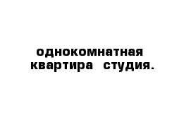 однокомнатная  квартира -студия.